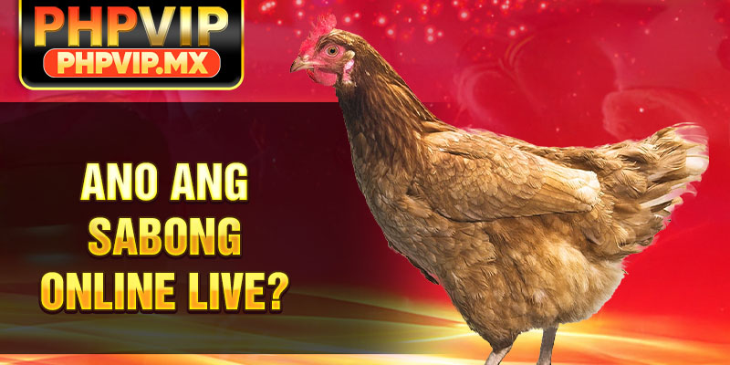 Ano ang Sabong Online Live?