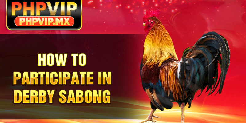 How to participate in derby sabong