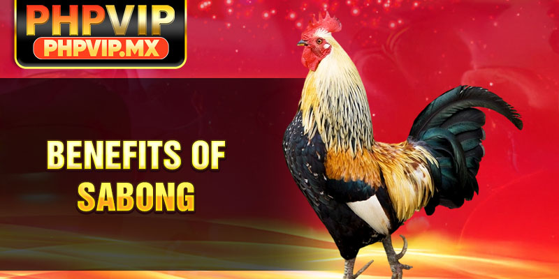 Benefits of sabong