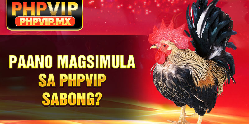 Paano Magsimula sa PHPVIP Sabong?